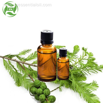 100% pure natural Organic Cypress oil